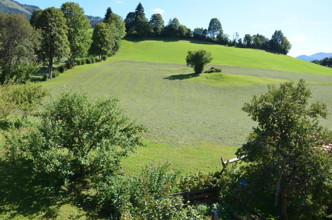 Pension Woetzinghof Kirchberg in Tirol Exteriér fotografie