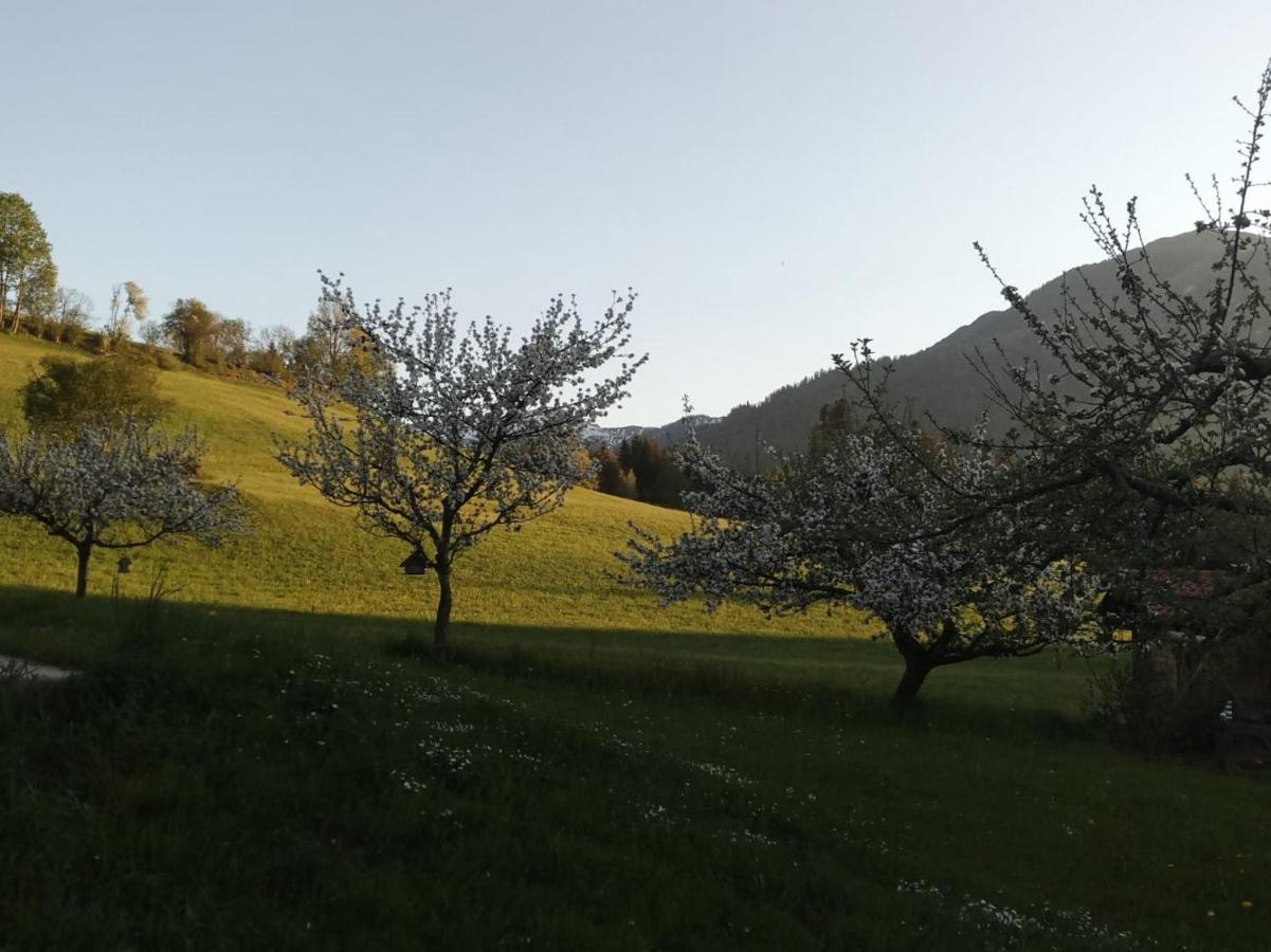 Pension Woetzinghof Kirchberg in Tirol Exteriér fotografie