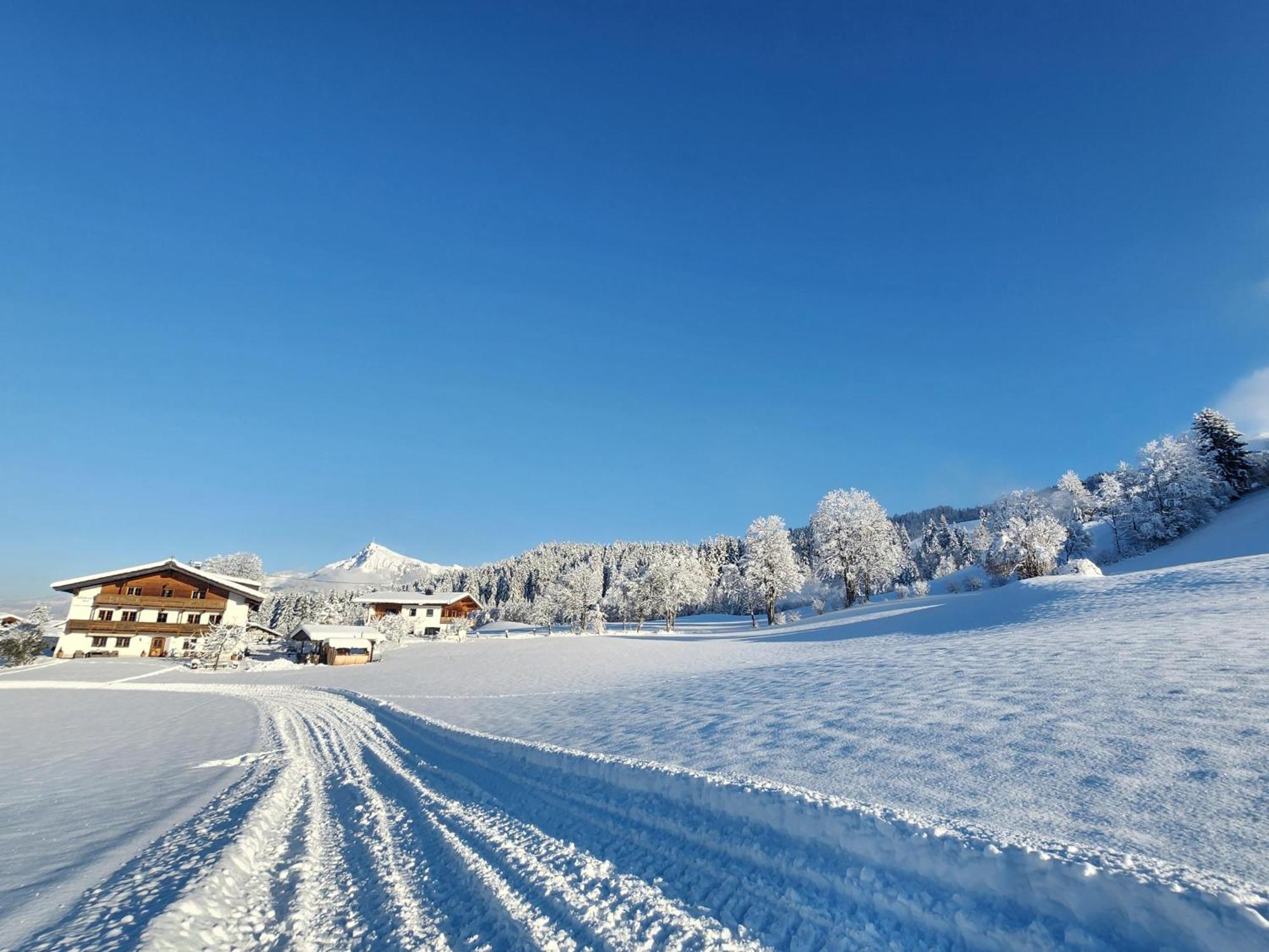 Pension Woetzinghof Kirchberg in Tirol Exteriér fotografie