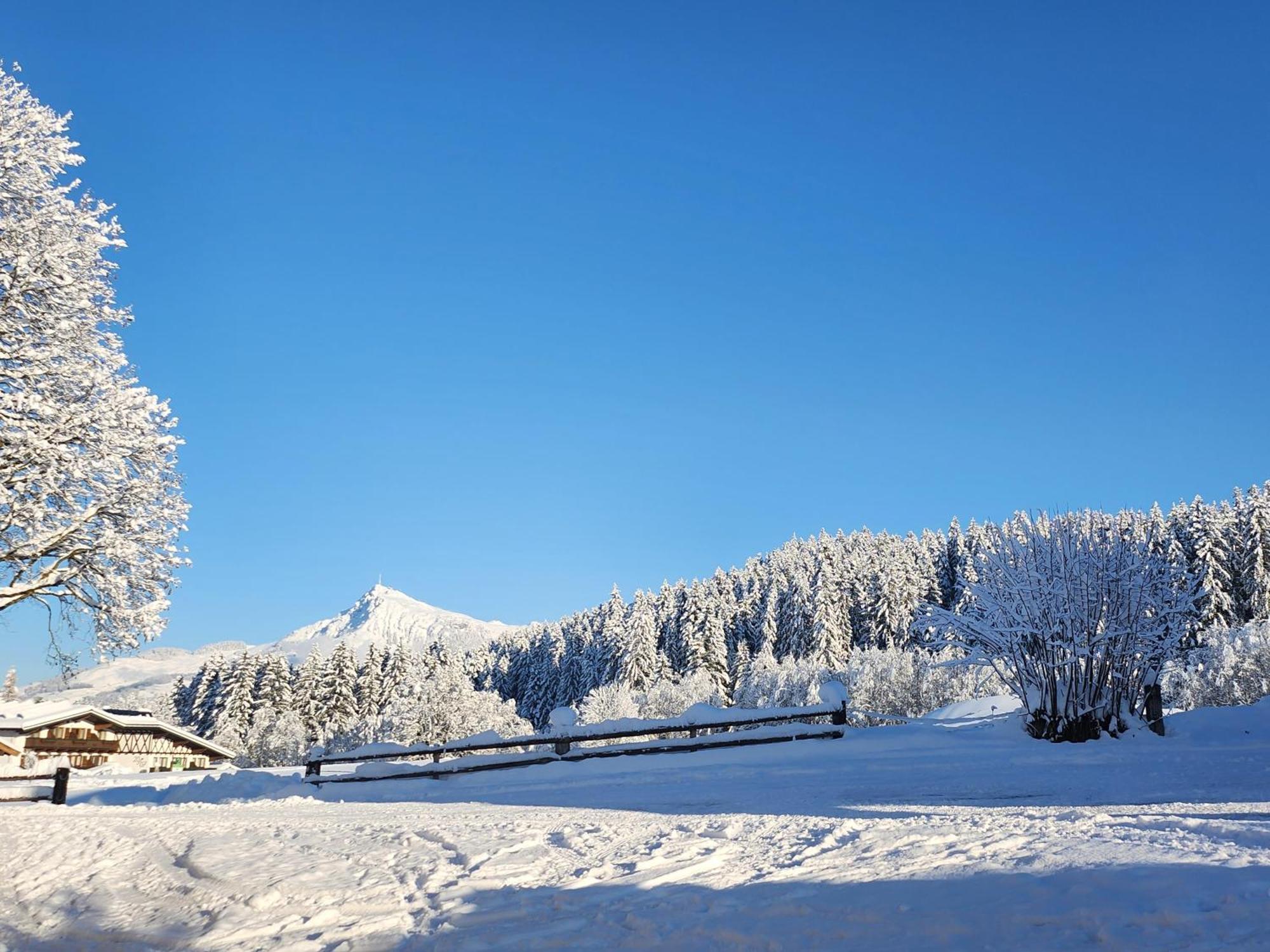 Pension Woetzinghof Kirchberg in Tirol Exteriér fotografie