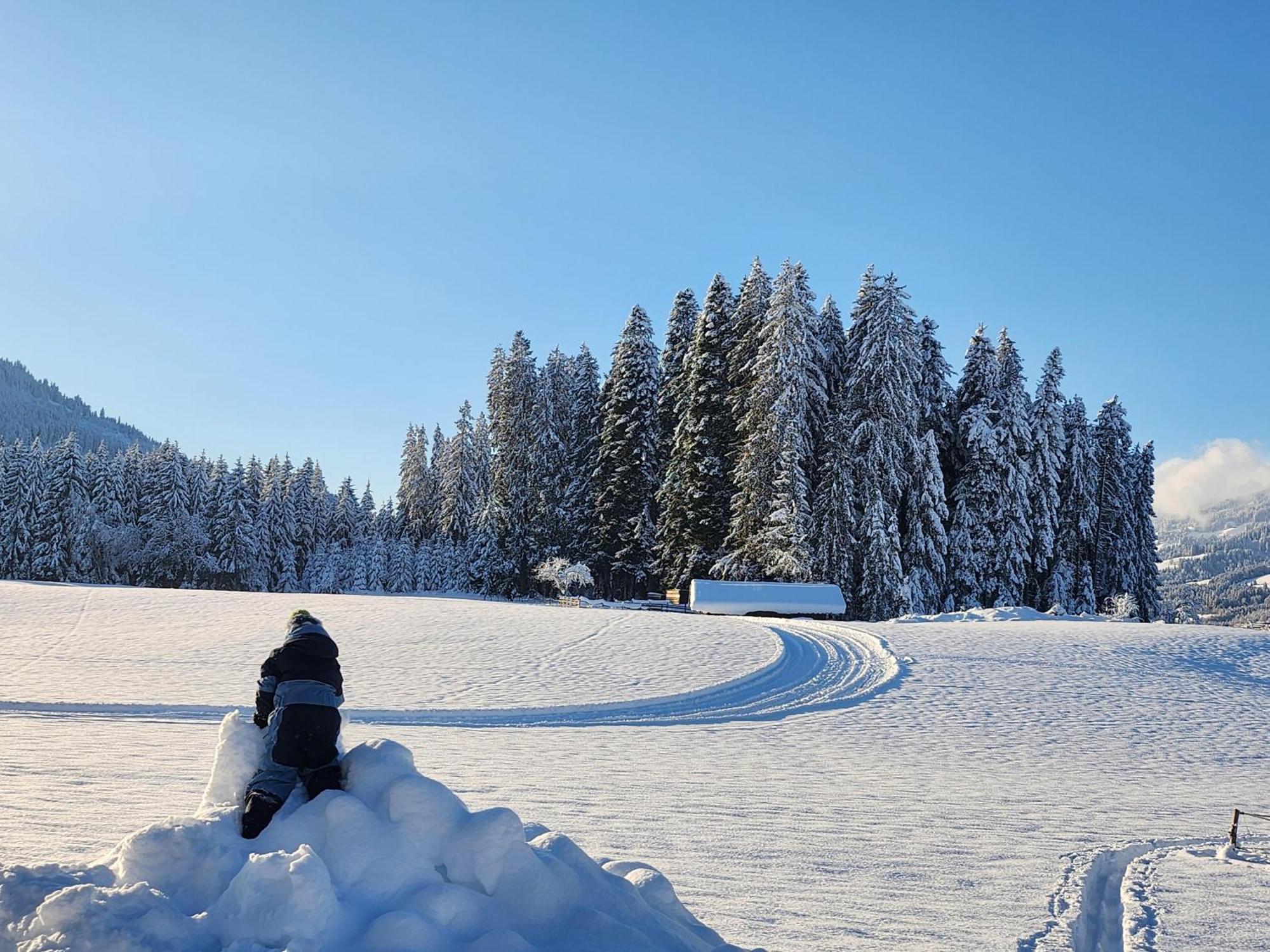 Pension Woetzinghof Kirchberg in Tirol Exteriér fotografie