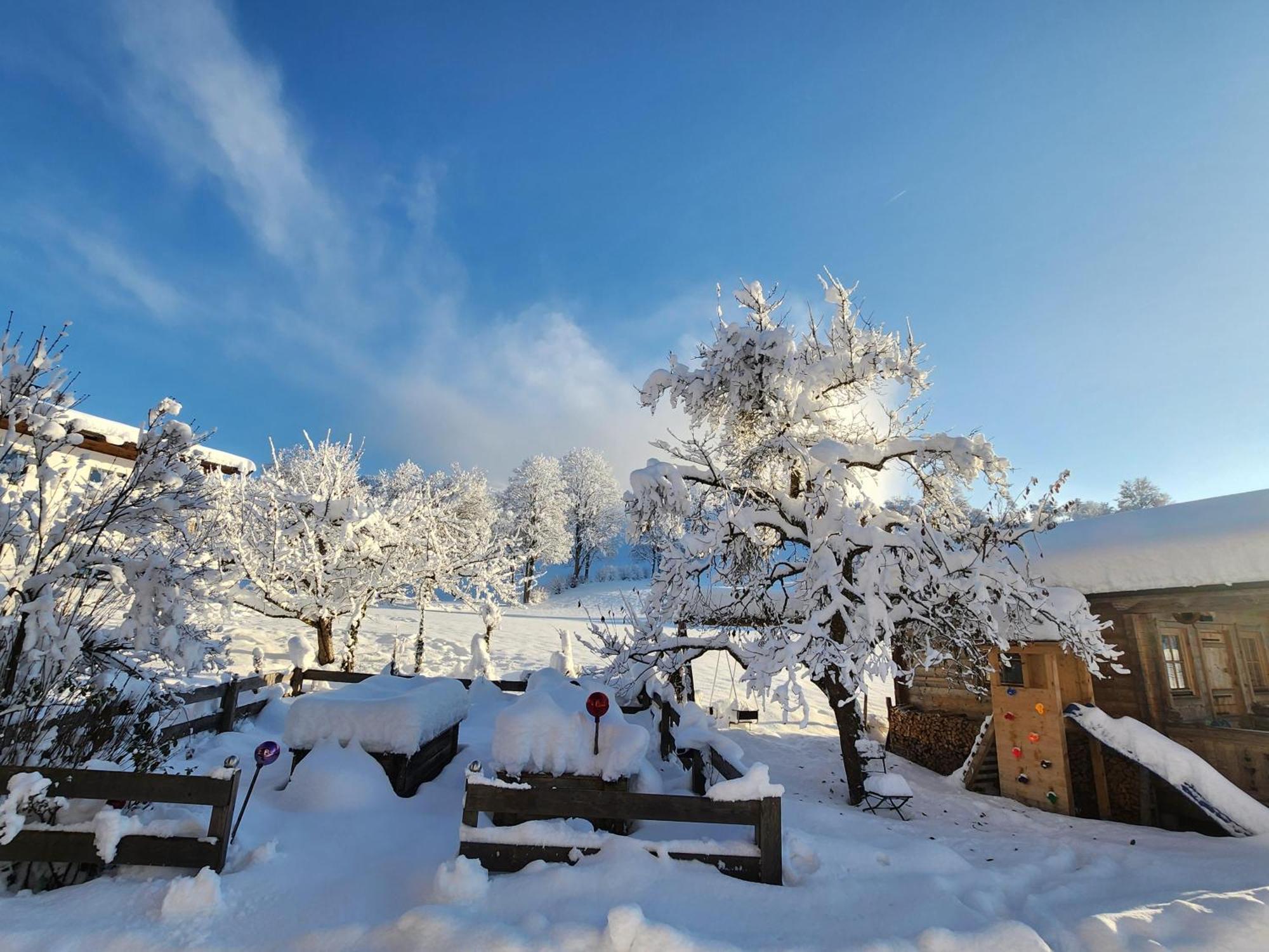 Pension Woetzinghof Kirchberg in Tirol Exteriér fotografie