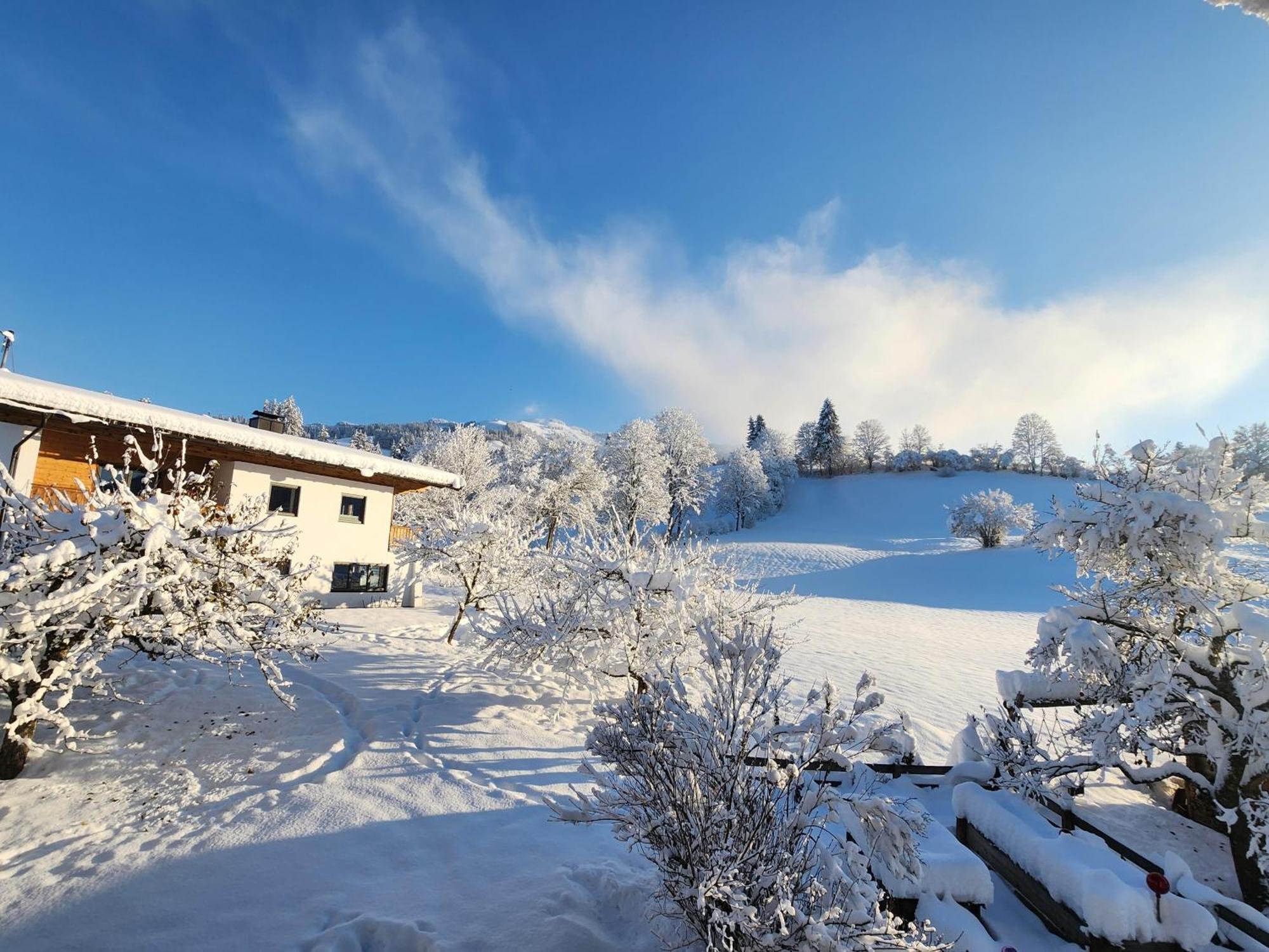 Pension Woetzinghof Kirchberg in Tirol Exteriér fotografie
