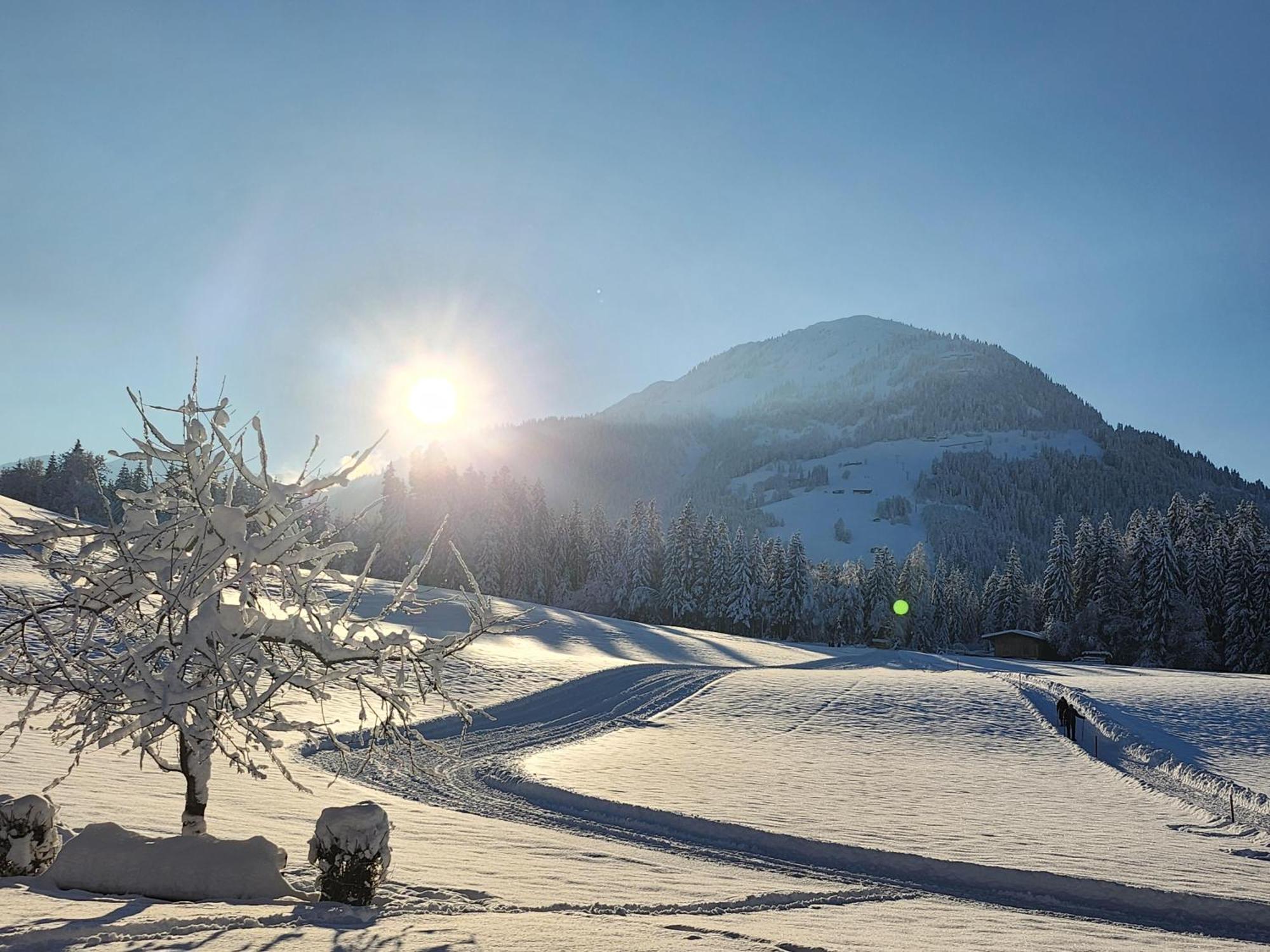 Pension Woetzinghof Kirchberg in Tirol Exteriér fotografie