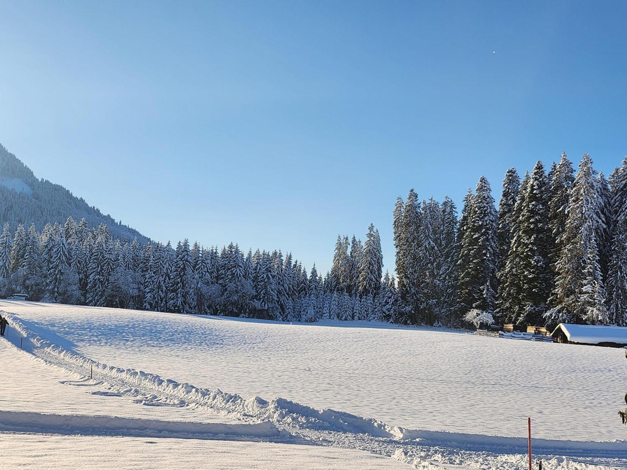 Pension Woetzinghof Kirchberg in Tirol Exteriér fotografie