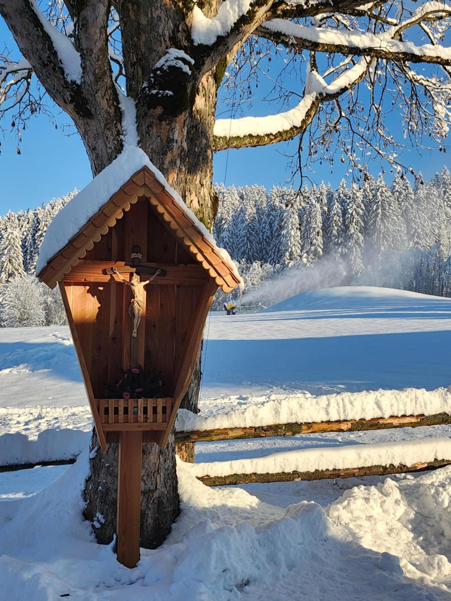 Pension Woetzinghof Kirchberg in Tirol Exteriér fotografie