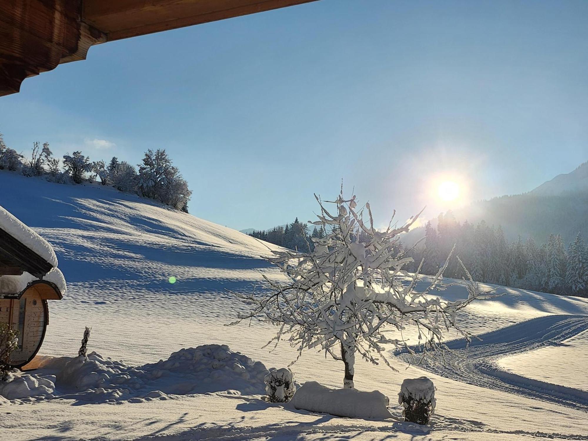 Pension Woetzinghof Kirchberg in Tirol Exteriér fotografie